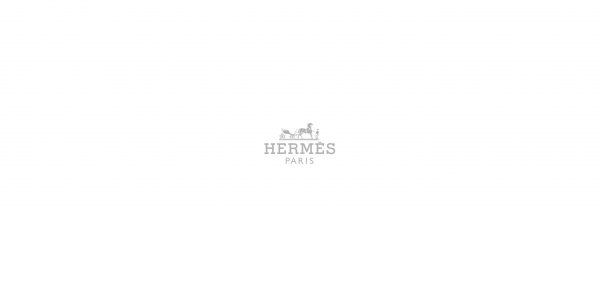 APT57.com-Hermes-Logo